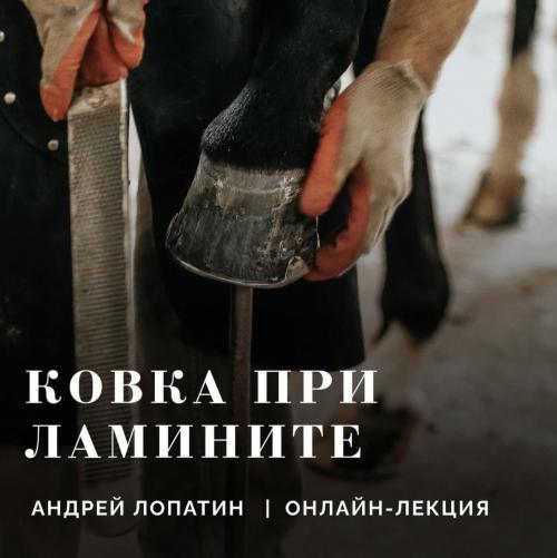 Лекция: Терапевтическая ковка при ламините